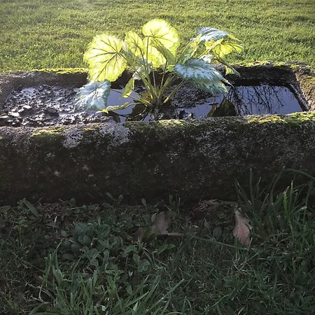 Сasa de vacaciones Casa Areas Boimorto (A Coruna)